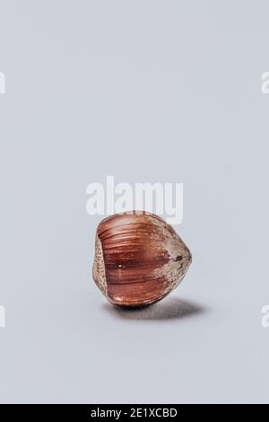 Fresh Whole Hazelnut in Nutshell on White Background, isolated Stock Photo