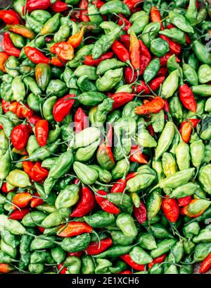 Fresh green and red chili peppers on display at a Yangon Street Market Stock Photo