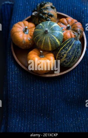 A wooden dish full of dwarf striped pumpkins on a blue sweater as background. A green and yellow striped one is at the top. Stock Photo