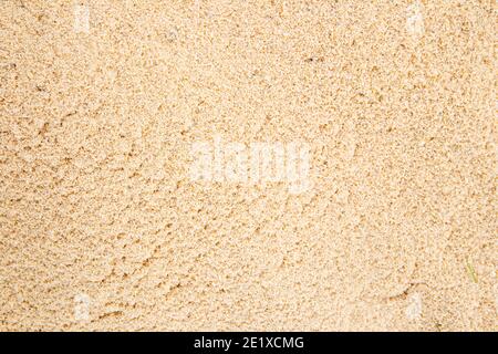 Seamless scobs yellow texture background Stock Photo