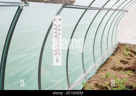 A thermometer in greenhouse. Growing vegetables on the farm.