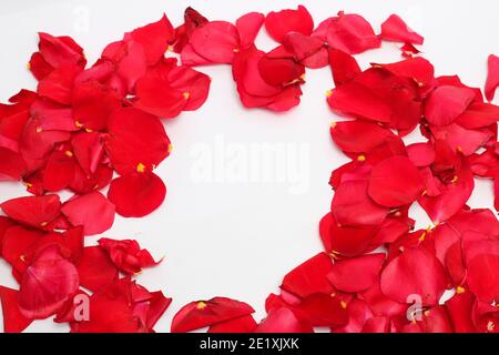Valentine's Day. Flowers composition. Round frame made of rose flowers Stock Photo