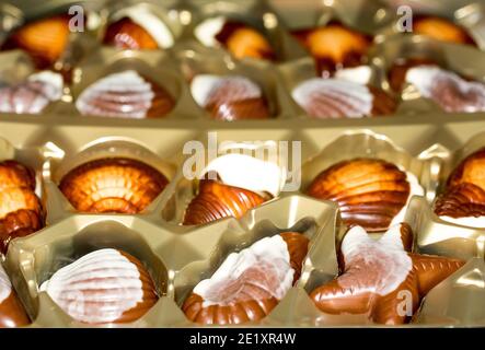 Belgian chocolate candies Seashells. Best quality Stock Photo