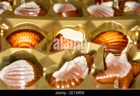 Belgian chocolate candies Seashells. Best quality Stock Photo