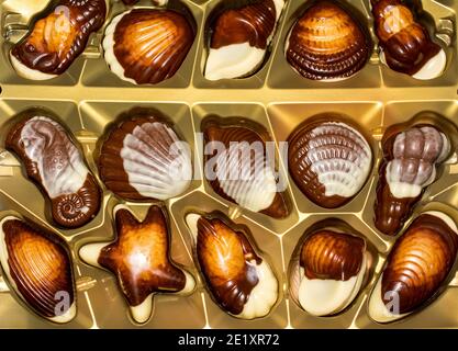 Belgian chocolate candies Seashells. Best quality Stock Photo