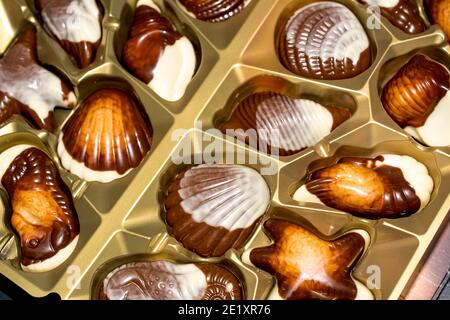 Belgian chocolate candies Seashells. Best quality Stock Photo