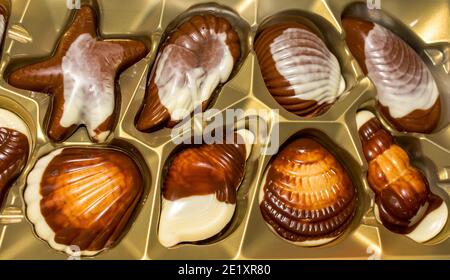Belgian chocolate candies Seashells. Best quality Stock Photo