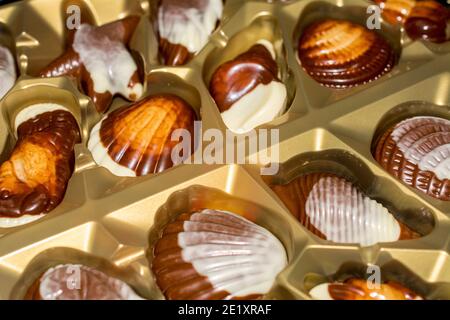 Belgian chocolate candies Seashells. Best quality Stock Photo