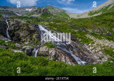 Rapid stream in mountain valley among grassy banks. Small waterfall in green meadow. Stock Photo