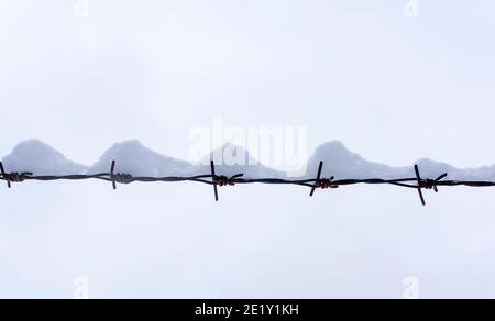 Barbed wire in winter under the snow on the background of the white winter sky. Barbed wire minimal Stock Photo