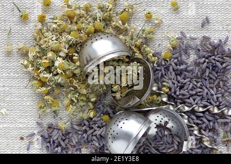 Chamomile and lavender herb dried flower tea on linen textile with blossoms and buds nearby, closeup, copy space, flat lay, from above overhead top vi Stock Photo