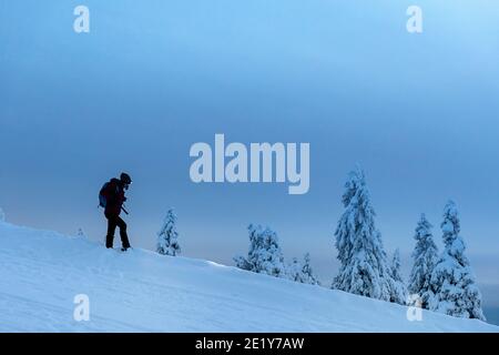 woman with headlamp standing on snow covered mountain with snowy pine trees around Stock Photo