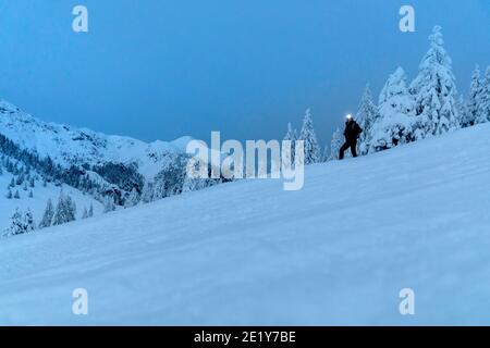 woman with headlamp standing on snow covered mountain with snowy pine trees around Stock Photo