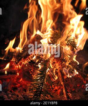 Bonfire. Fire on black. Brightly, heat, light, camping. Stock Photo