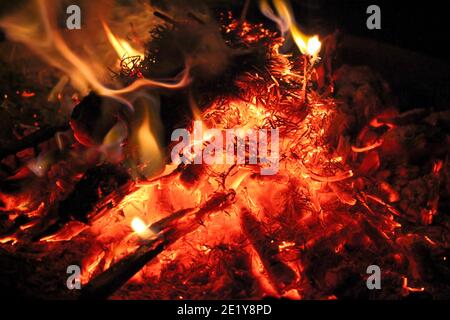 Bonfire. Fire on black. Brightly, heat, light, camping. Stock Photo