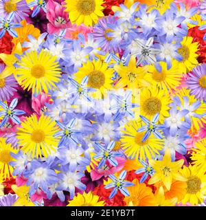 Seamless floral pattern with different bright flowers Stock Photo