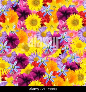 Seamless floral pattern with different bright flowers Stock Photo