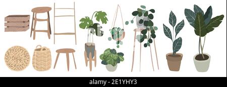 Set of various indoor potted plants in boho interior . Great for gardening magazines Stock Photo