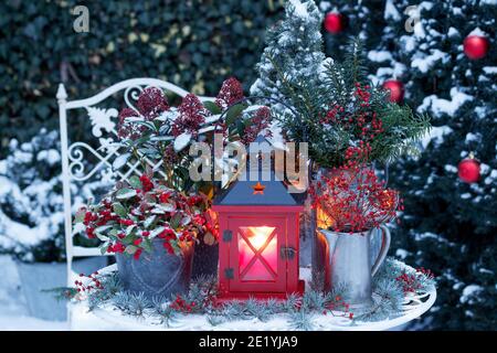 vintage christmas garden decoration with red lantern and winter plants in pots Stock Photo