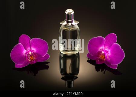 Studio photo, perfume bottle with two pink orchid flowers on a dark background untitled. Stock Photo