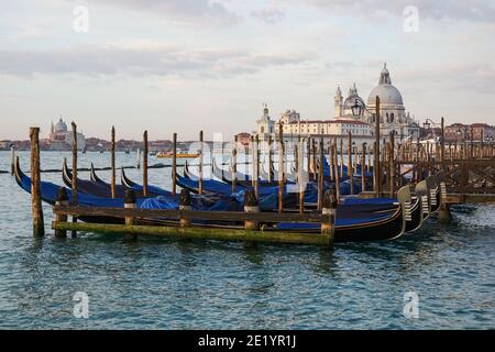 Venetian gondola at sunrise, gondolas moored in Venice with Santa Maria della Salute basilica in the background, Italy Stock Photo