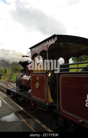 'Fiji' at Beddgelert. Stock Photo