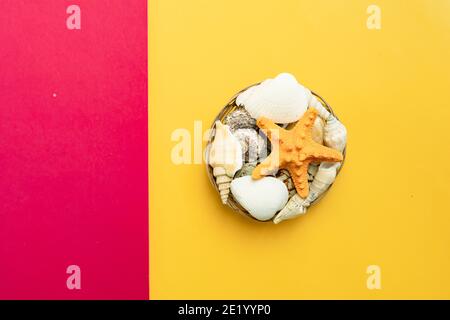 Group of seashells and starfish isolated on yellow and pink background. Stock Photo