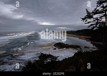 WA19075-00...WASHINGTON - Long Beach viewed from Bell's Trail in Cape Disappointment State Park. Stock Photo
