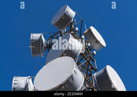 View of bass drum style microwave antennas on tall communications tower. Stock Photo
