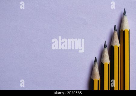 Flatlay of HB pencils on a pink background, female education concept Stock Photo