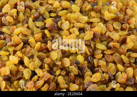 Closeup of dried golden raisin fruit food texture and background Stock Photo