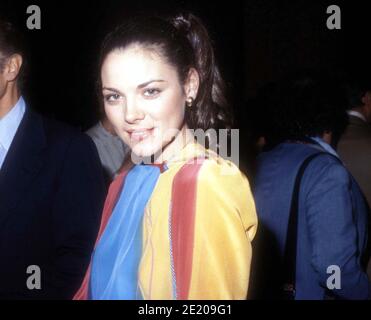 Kim Cattrall 1979 Credit: Ralph Dominguez/MediaPunch Stock Photo - Alamy
