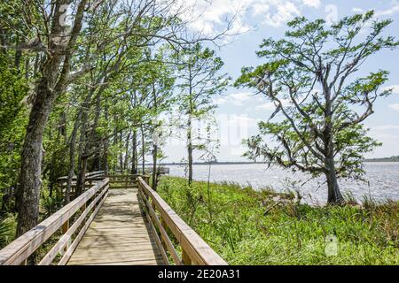 Alabama Historic Blakeley State Park Tensaw River Nature Boardwalk, Stock Photo