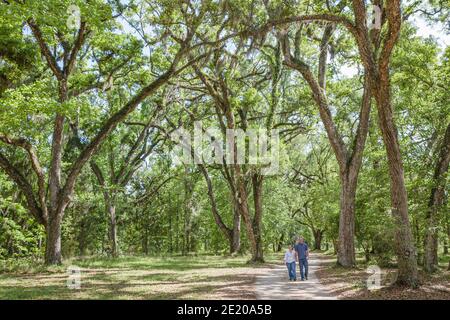 Alabama Historic Blakeley State Park Tensaw River Nature Boardwalk,Steam Mill Landing live oak trees,man woman female couple walking hiking, Stock Photo