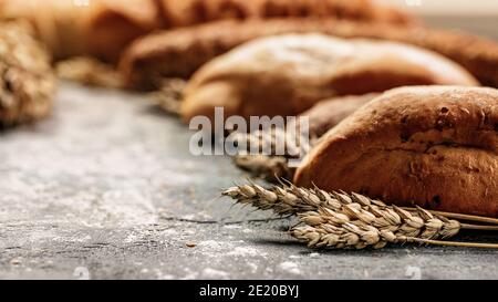 Close-up of Italian ciabatta bread and wheat ears on a gray concrete background. Mediterranean traditional national cuisine. Selective focus. Blurred Stock Photo