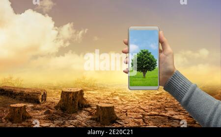 Woman hand holds modern green tree screen smartphone on dead stump tree and cracked land. Saving environment and natural conservation concept. Stock Photo