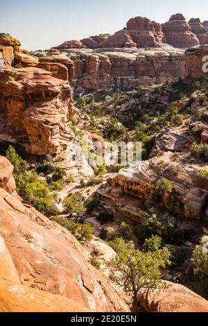 A canyon along the Chesler Park trail, the Needles district, Canyonlands National Park, Utah, USA. Stock Photo