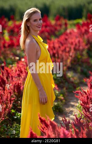 Beautiful model posing in a field full of red flowers backlit by the sun Stock Photo