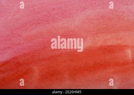Red, pink aquarell gradient colored paper surface, high resolution texture Stock Photo