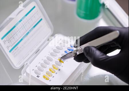 Ceramic braces for installing construction on teeth in plastic packaging in orthodontics doctor's hands. Dentist holding new braces in hands preparing it to patient in stomatology clinic, dentistry. Stock Photo