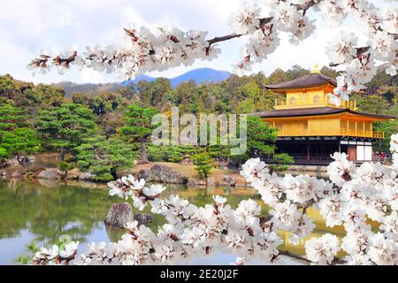 BLOSSOMS 永遠書館 the-golden-pavilion-kinkaku-ji