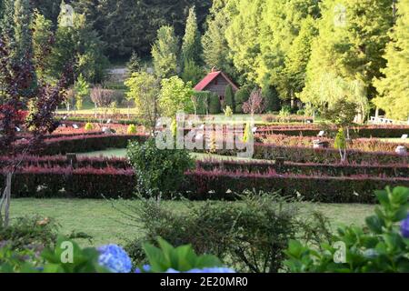 Mongiana, Vibo Valentia - Villa Vittoria Credit: Giuseppe Andidero Stock Photo