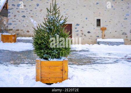 Small snowy fir tree in a wooden pot outdoor in winter. Christmas concept. High quality photo Stock Photo