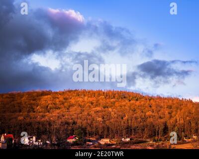 Enlightened forest on hill above village in winter, without snow before sunset Stock Photo