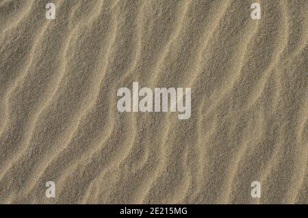 The texture of a sandy surface with natural waves formed by the winds. Background. Stock Photo
