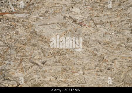 Texture of chipboard used for the construction of small, seasonal houses and wall decoration. Background. Stock Photo