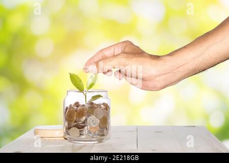 Man's hands are putting a coin into a glass jar with a small tree placed on a wooden table with a green bokeh background, Concepts for business and fi Stock Photo