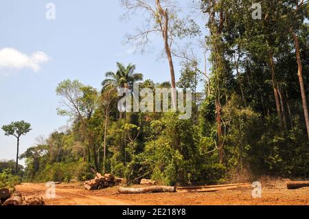 Logging activities in the Brazilian Rainforest causes large scale deforestation and land erosion Stock Photo