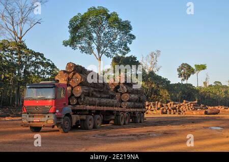 Logging activities in the Brazilian Rainforest causes large scale deforestation and land erosion Stock Photo