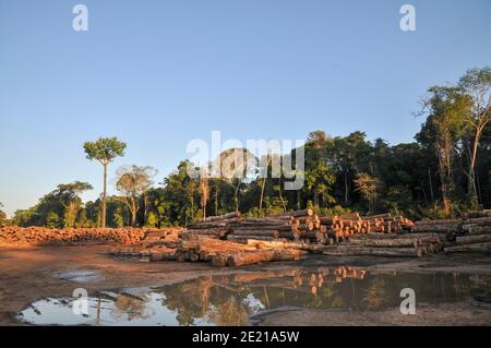 Logging activities in the Brazilian Rainforest causes large scale deforestation and land erosion Stock Photo